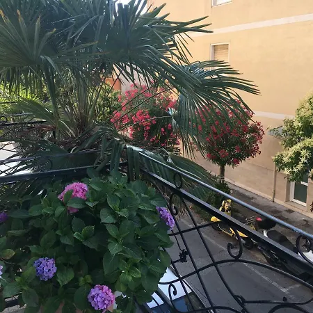 Rodeo Drive Viareggio