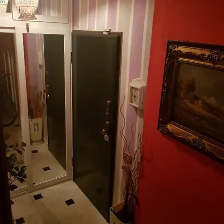 公寓 Rodeo Drive 维亚雷焦