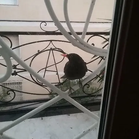 Rodeo Drive 公寓 *