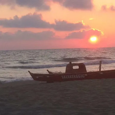 Rodeo Drive 公寓 维亚雷焦